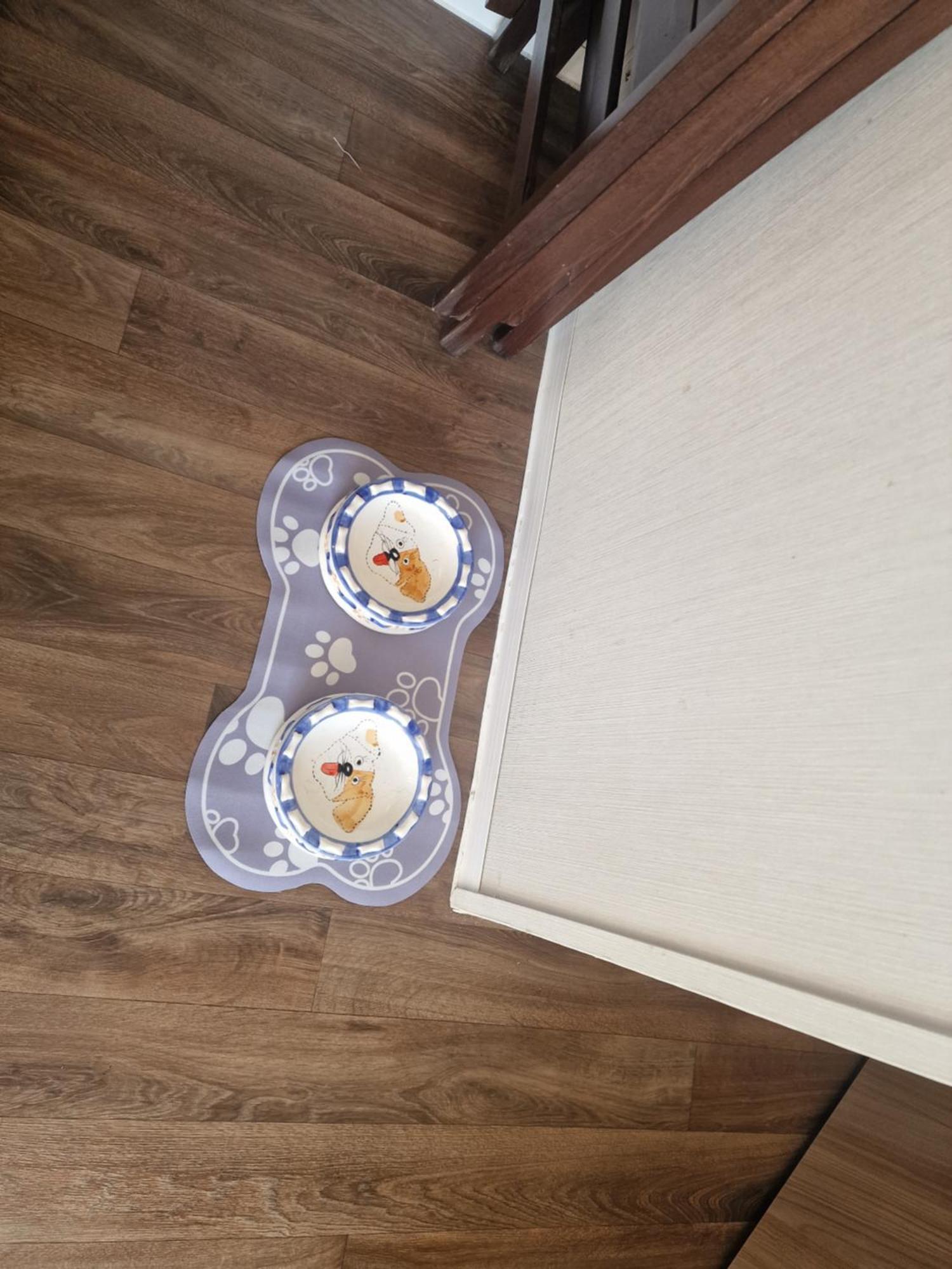 Durdlee Door, D27, Main Rd, West Lulworth, Wareham Bh20 5Pu Hotel Ngoại thất bức ảnh